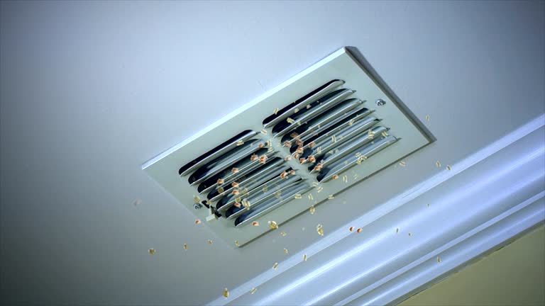Best HVAC Duct Inspection Services  in Indian River Shores, FL